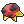 Spotted Rock